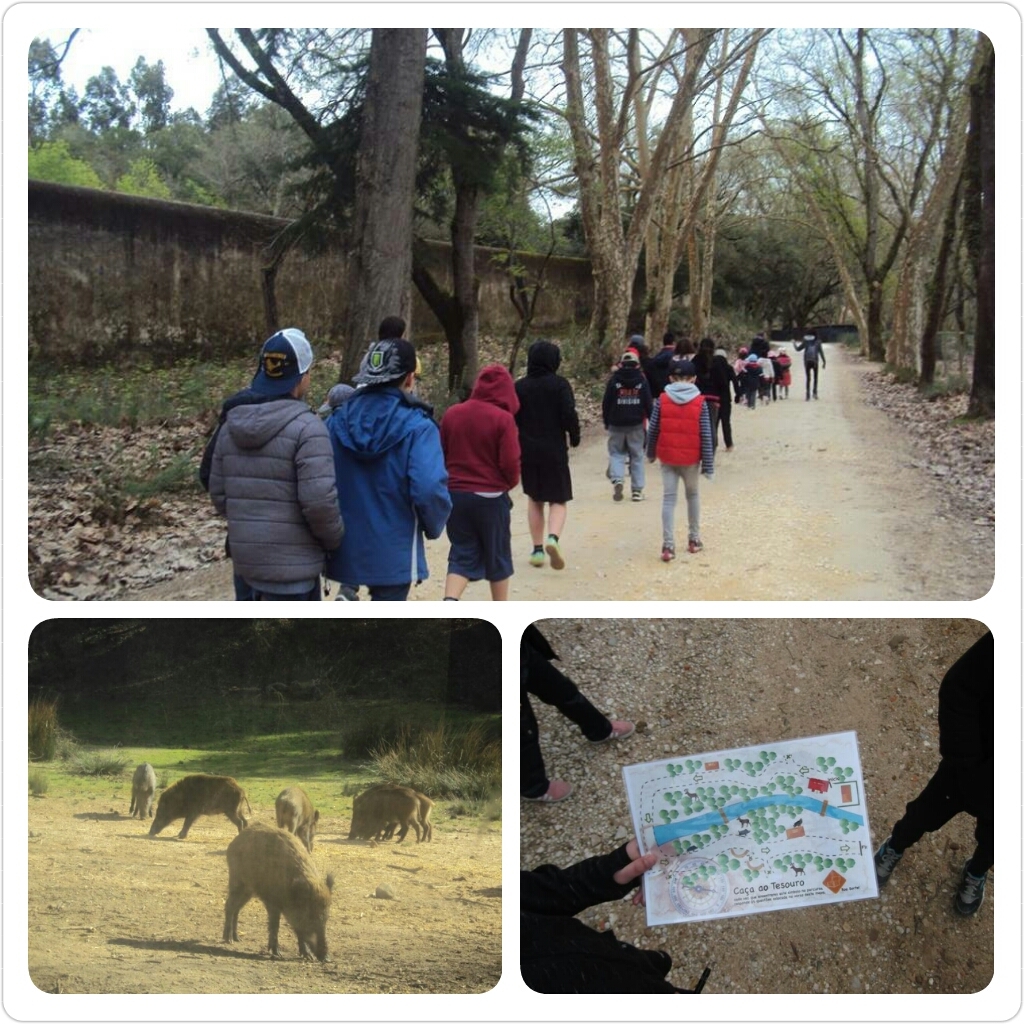 Passeio Serra da estrela